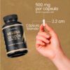 Suplemento Melena de Leon 180 Capsulas