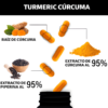 Suplemento Curcuma 150 Capsulas